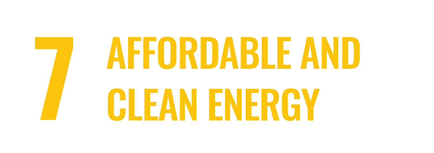 Affordable and Clean Energy