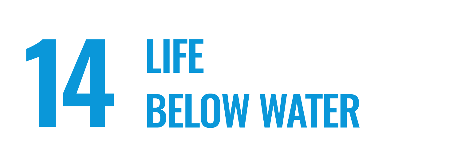Life below Water